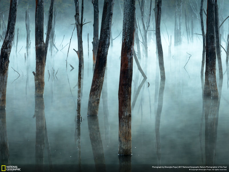 Illustration for article titled Las fotos ganadoras del concurso anual de National Geographic muestran un planeta tan hermoso que no lo merecemos